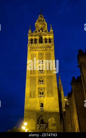 La célèbre tour de cloche nommée Giralda dans la cathédrale catholique de Saint Mary, Catedral de Santa Maria de la Sede à Séville, Andalousie, Espagne la nuit Banque D'Images
