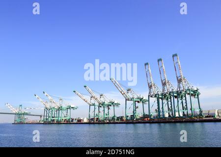 Grues géantes sur portique au terminal de conteneurs de long Beach Banque D'Images