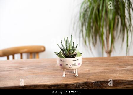 cactus dans un pot figuré de chat fait à la main céramique Banque D'Images