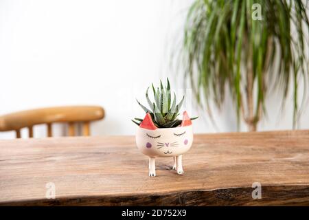 cactus dans un pot figuré de chat fait à la main céramique Banque D'Images