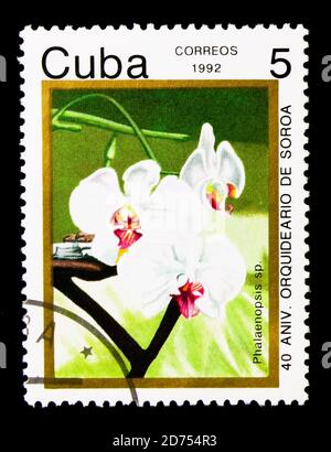 MOSCOU, RUSSIE - 25 NOVEMBRE 2017 : un timbre imprimé à Cuba montre la fleur de Phalaenopsis, série d'orchidées, vers 1992 Banque D'Images