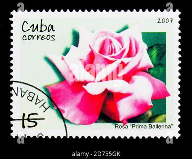 MOSCOU, RUSSIE - 25 NOVEMBRE 2017 : un timbre imprimé à Cuba montre la rose de Prima ballerina, série, vers 2007 Banque D'Images