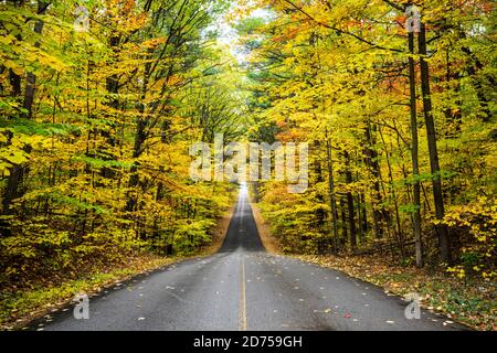 Belle forêt d'automne route sans fin Banque D'Images