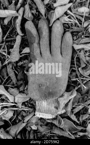 Pollution de l'environnement par les images. Le matériau de protection Covid 19 est en train de devenir un eyesore pour l'environnement, car de plus en plus de gens déversent des masques et des gants usagés partout. Harare, Zimbabwe. Banque D'Images