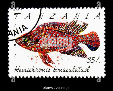 MOSCOU, RUSSIE - 25 NOVEMBRE 2017 : un timbre imprimé en Tanzanie montre Jewel Cichlid (Hemichromis bimaculatus), série de poissons, vers 1991 Banque D'Images