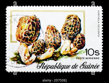 MOSCOU, RUSSIE - 2 JANVIER 2018 : un timbre imprimé en Guinée montre Morchella esculenta, série de champignons, vers 1977 Banque D'Images
