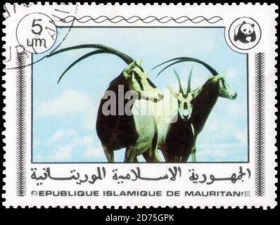 Saint-Pétersbourg, Russie - 18 septembre 2020 : timbre imprimé en Mauritanie avec l'image de l'Oryx, vers 1978 Banque D'Images