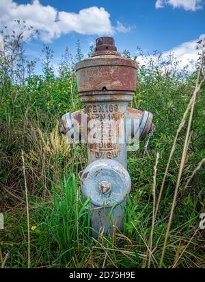 Gros plan vertical d'une borne d'incendie rouillée dans le herbe Banque D'Images