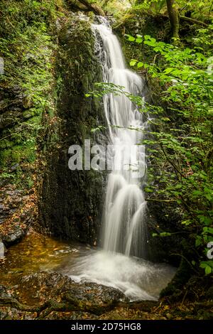 Chute d'eau de Tom Gill près de Tarn Hows entre Ambleside et Conistom Banque D'Images