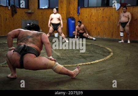 Les lutteurs Sumo japonais s'entraîner à l'intérieur d'une écurie Sumo traditionnelle Tôt le matin.ville de Koto.Tokyo.Japon Banque D'Images