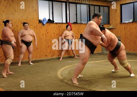 Les lutteurs Sumo japonais s'entraîner à l'intérieur d'une écurie Sumo traditionnelle Tôt le matin.ville de Koto.Tokyo.Japon Banque D'Images