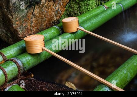 Louches pour la purification de l'eau à l'entrée d'un shinto Sanctuaire au Japon Banque D'Images