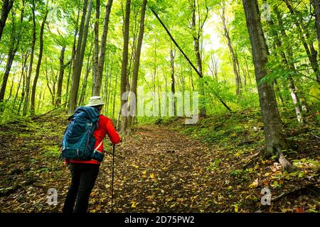 Homme actif en bonne santé randonnée dans la belle forêt d'automne Banque D'Images