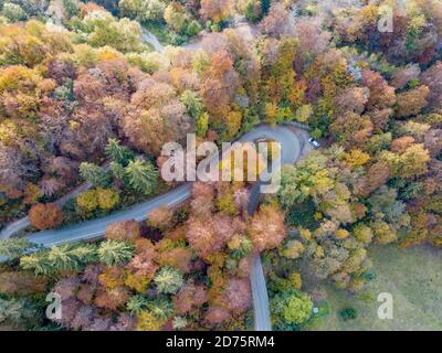 Courbe sur la route de montagne en automne Banque D'Images