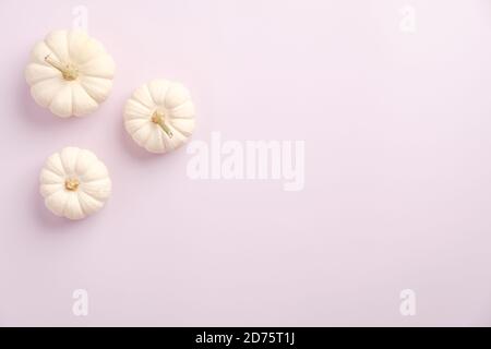 Composition d'automne. Citrouilles blanches sur fond rose pastel. Automne automne, récolte ou halloween concept. Flat lay, vue de dessus, espace de copie Banque D'Images