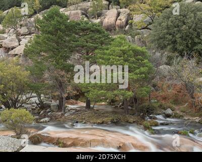 La Pedriza dans la Sierra de Guadarrama cascades et ruisseaux dans la communauté de Madrid, Espagne Banque D'Images