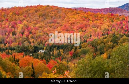 Magnifique feuillage d'automne arbres colorés et sentier pittoresque Banque D'Images