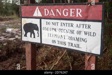 Attention aux éléphants sauvages / danger signe animal sauvage la forêt Banque D'Images