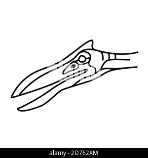 Icône ptérosaure. Style d'icône Doodle dessiné à la main ou Black Outline Illustration de Vecteur