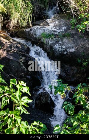 Un ruisseau d'eau limpide s'écoulant entre les formations rocheuses de la cascade de Mato Limpo avec une végétation verte à proximité. Banque D'Images