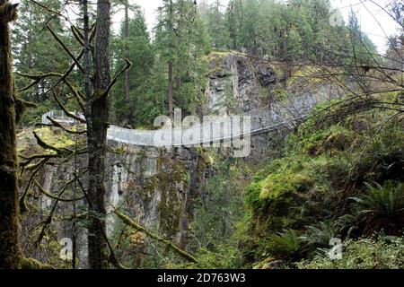 Pont suspendu dans le parc provincial Elk Falls, à Campbell River, sur l'île de Vancouver (Colombie-Britannique), Canada Banque D'Images