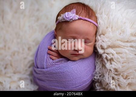 Dormant, bébé fille de sept jours de nouveau-né a emailé dans un emballage violet. Tourné en studio sur un tapis en peau de mouton blanc Banque D'Images