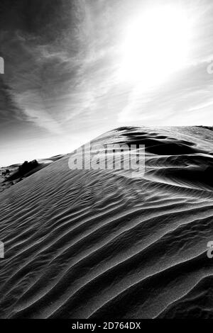 Photo en niveaux de gris d'un magnifique désert avec des dunes de sable à Dubaï Banque D'Images