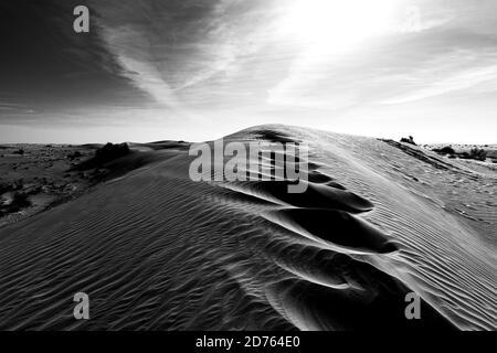 Photo en niveaux de gris d'un magnifique désert avec des dunes de sable à Dubaï Banque D'Images