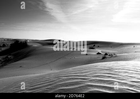 Photo en niveaux de gris d'un magnifique désert avec des dunes de sable à Dubaï Banque D'Images