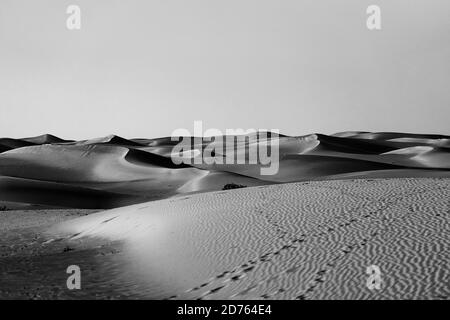 Photo en niveaux de gris d'un magnifique désert avec des dunes de sable à Dubaï Banque D'Images