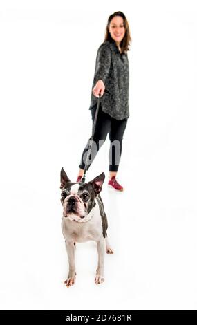 Femme avec est Boston Terrier sur fond blanc de studio Banque D'Images