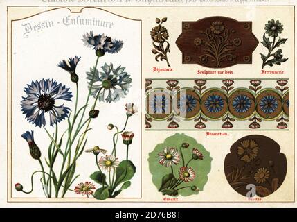 Images de pâquerettes et de cornflowers de manuscrits et de leurs applications dans la sculpture en bois, la joaillerie, l'émail, le bronze et l'art de l'ironiser. Chromolithographie conçue et lithographiée par Ernst Guillot à partir de ses fleurs après la nature et fleurs ornementales, fleurs d'apres nature et fleurs ornementales, Paris, 1890. Banque D'Images