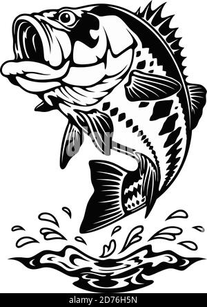 Achigan à grande bouche en attaque - modèle pour la conception de pêche isolé sur blanc Illustration de Vecteur