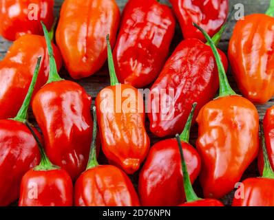 Assortiment de piments frais et chauds Banque D'Images