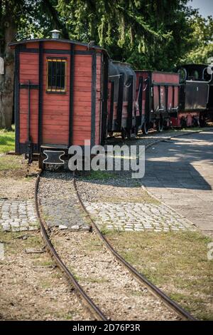 Train à voie étroite entouré d'arbres dans le musée du chemin de fer à voie étroite, Wenecja, Pologne Banque D'Images