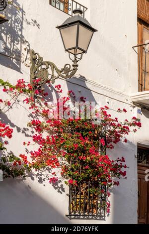 Coin pittoresque de la vieille ville, Altea, Costa Blanca, Communauté Valencienne, Espagne Banque D'Images