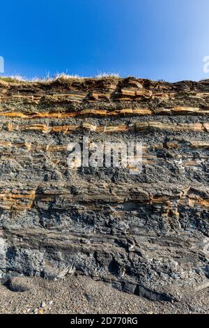 Les couches instables de mudstone et de schiste fossiles riches dans les falaises de Kimmeridge Bay, sur la côte jurassique, Dorset, Angleterre Banque D'Images