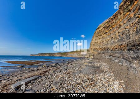 Les couches instables de mudstone et de schiste fossiles riches dans les falaises de Kimmeridge Bay, sur la côte jurassique, Dorset, Angleterre Banque D'Images