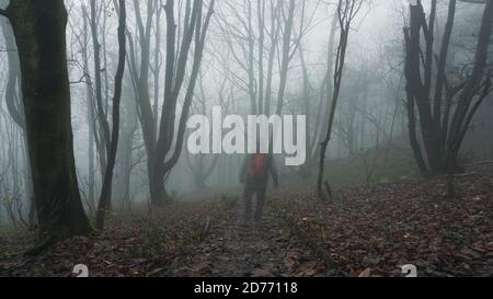 Une silhouette à capuche aux motifs fantômes et flous. Se tenir dans une forêt lors d'une journée hivers effrayante et brumeuse. Banque D'Images