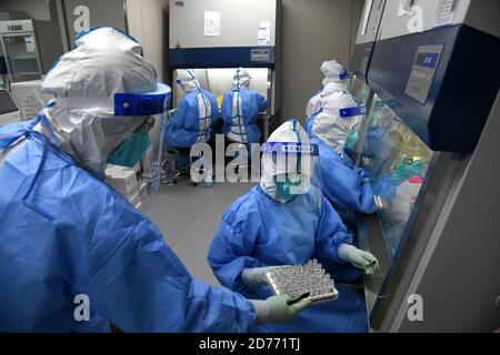 Qingdao, province chinoise de Shandong. 16 octobre 2020. Les membres du personnel traitent les échantillons d'écouvillons pour vérifier la présence de COVID-19 dans un laboratoire de Qingdao, dans la province de Shandong, dans l'est de la Chine, le 16 octobre 2020. Credit: Li Ziheng/Xinhua/Alay Live News Banque D'Images