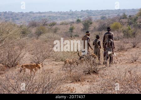 Hadza hommes préparant les flèches avant une expédition de chasse. Les Hadza, ou Hadzabe, sont un petit groupe ethnique dans le centre-nord de la tanzanie, vivant autour de L Banque D'Images