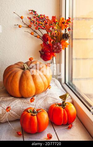 L'automne encore agréable vie sur le seuil de la fenêtre: Potiron, sueurs de laine chaude, feuilles d'érable et persimmon. Banque D'Images