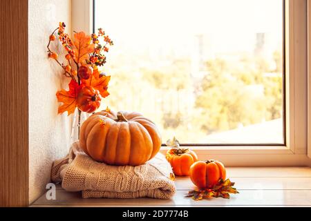 L'automne est encore agréable sur le rebord de la fenêtre avec un espace de copie : potiron, chandails en laine chaude, feuilles d'érable et persimmon. Banque D'Images