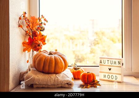 Ambiance d'automne. L'automne est encore agréable sur le rebord de la fenêtre avec une visionneuse et de la citrouille, des persimmon, des chandails en laine chaude, des feuilles d'érable. Banque D'Images