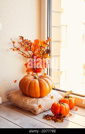 L'automne est encore agréable sur le seuil de la fenêtre: Potiron, sueurs de laine chaude, feuilles d'érable et persimmon. Banque D'Images
