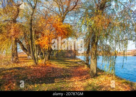 L'automne sur étang Banque D'Images