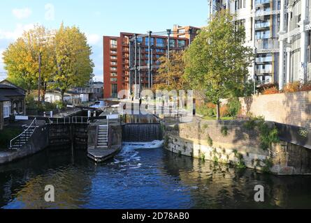Couleurs d'automne le long du canal Regents, à Kings Cross, au nord de Londres, Royaume-Uni Banque D'Images