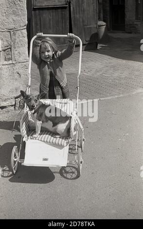 années 1950, historique, un jour d'été, une petite fille portant un vieux gilet en laine jouant dehors dans une cour pavée en s'amusant avec son chien... lui donnant un ascenseur sur sa poussette en métal. Banque D'Images