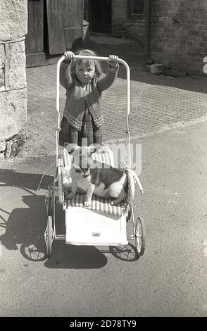 années 1950, historique, un jour d'été, une petite fille portant un vieux gilet en laine jouant dehors dans une cour pavée en s'amusant avec son chien... lui donnant un ascenseur sur sa poussette en métal. Banque D'Images