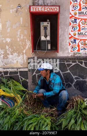 24 février 2020 : homme vendant une plante de maïs dans la rue. Potos’, Bolivie Banque D'Images